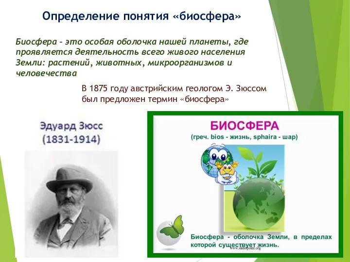 Определение понятия «биосфера» Биосфера – это особая оболочка нашей планеты, где