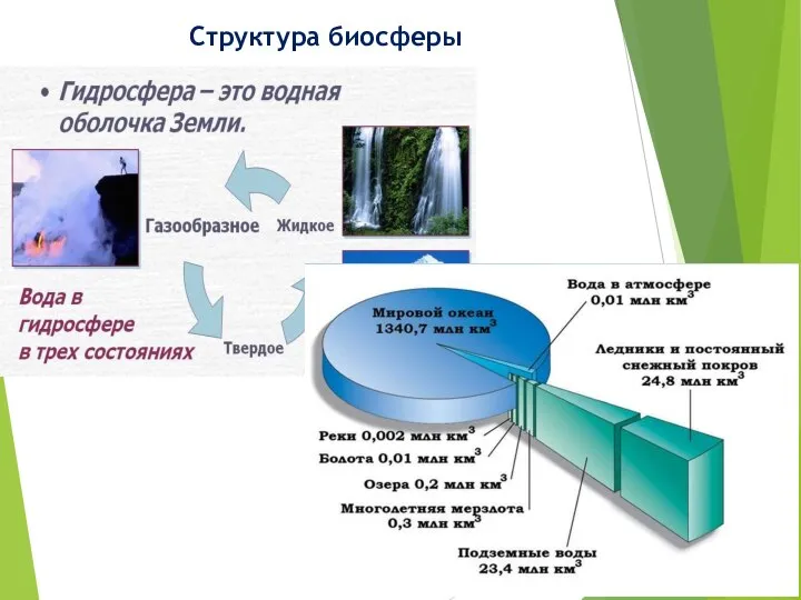 Структура биосферы