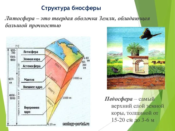 Литосфера – это твердая оболочка Земли, обладающая большой прочностью Структура биосферы