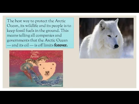 The best way to protect the Arctic Ocean, its wildlife and