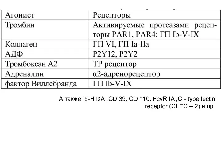 А также: 5-HT2A, CD 39, CD 110, FcγRIIA ,C - type