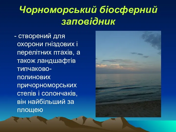 Чорноморський біосферний заповідник - створений для охорони гніздових і перелітних птахів,