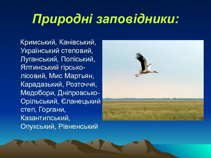 Природні заповідники: Кримський, Канівський, Український степовий, Луганський, Поліський, Ялтинський гірсько-лісовий, Мис