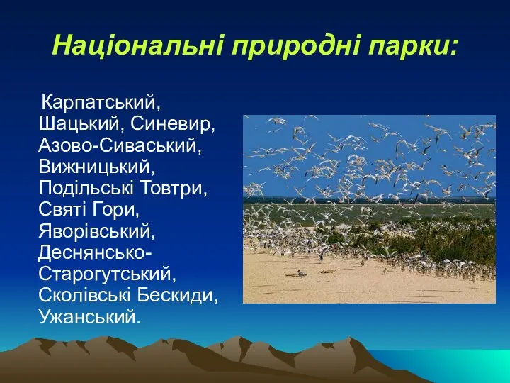 Національні природні парки: Карпатський, Шацький, Синевир, Азово-Сиваський, Вижницький, Подільські Товтри, Святі