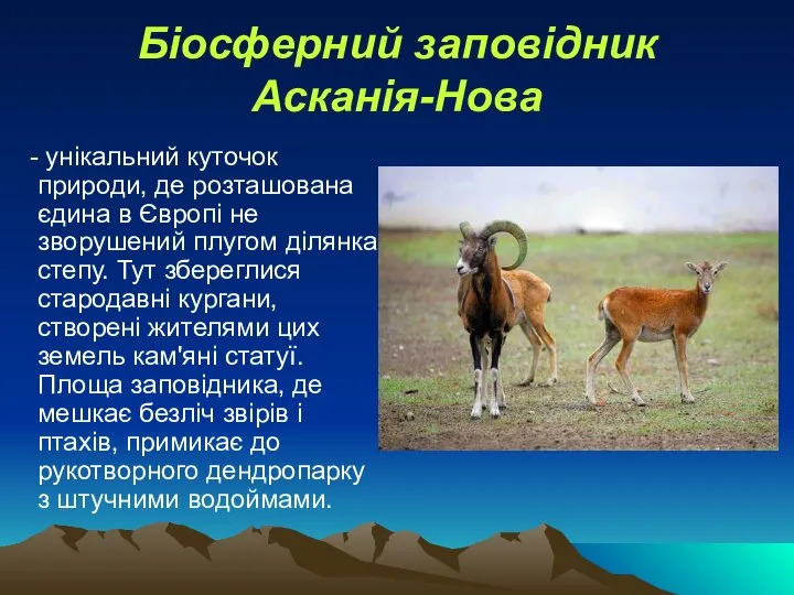 Біосферний заповідник Асканія-Нова - унікальний куточок природи, де розташована єдина в