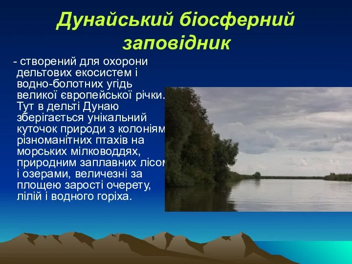 Дунайський біосферний заповідник - створений для охорони дельтових екосистем і водно-болотних