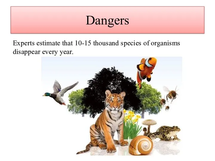 Dangers Experts estimate that 10-15 thousand species of organisms disappear every year.