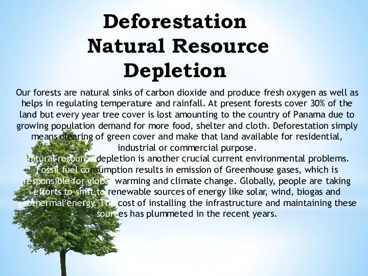 Deforestation Natural Resource Depletion Our forests are natural sinks of carbon