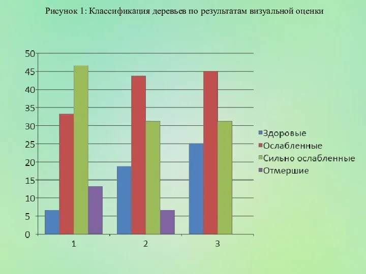 Рисунок 1: Классификация деревьев по результатам визуальной оценки