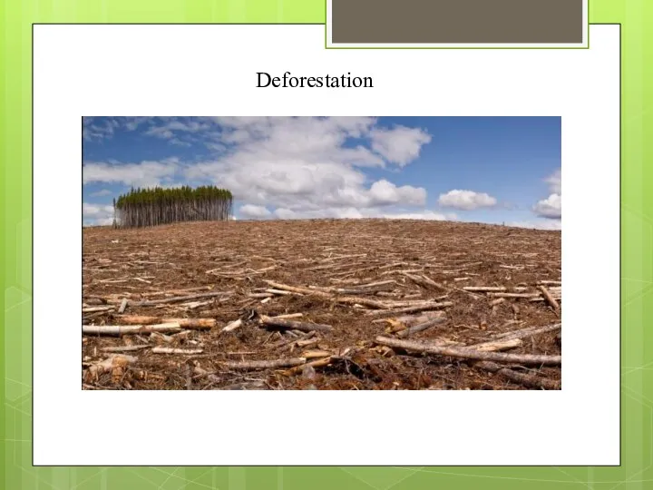 Deforestation