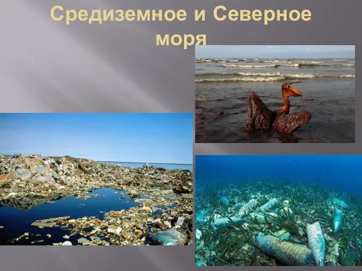 Средиземное и Северное моря