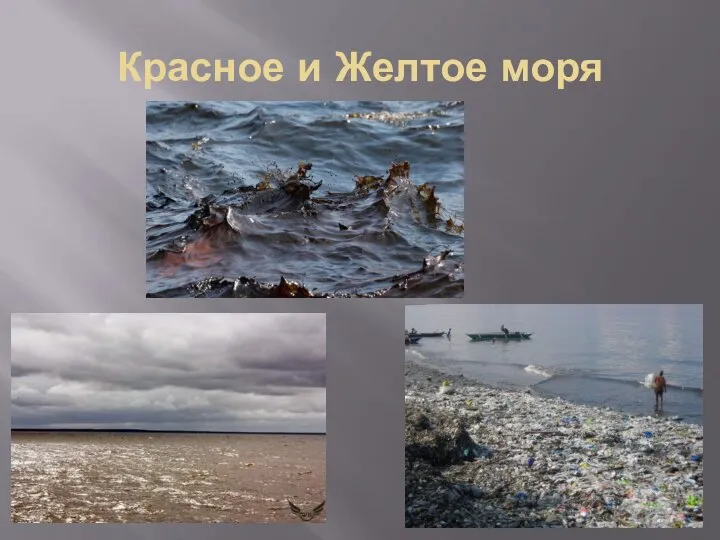 Красное и Желтое моря