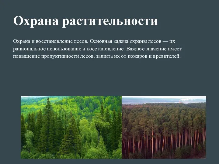 Охрана растительности Охрана и восстановление лесов. Основная задача охраны лесов —