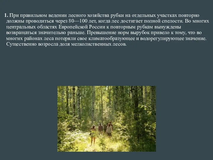 1. При правильном ведении лесного хозяйства рубки на отдельных участках повторно