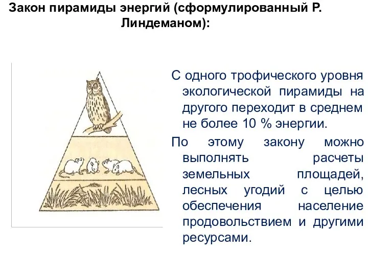 Закон пирамиды энергий (сформулированный Р. Линдеманом): С одного трофического уровня экологической