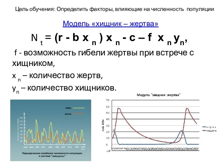 N t = (r - b x n ) x n