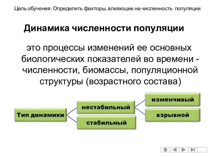 это процессы изменений ее основных биологических показателей во времени - численности,