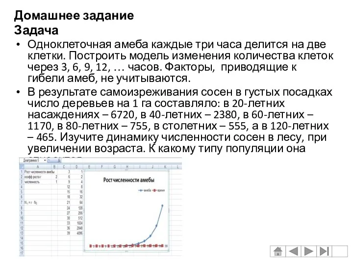 Домашнее задание Задача Одноклеточная амеба каждые три часа делится на две