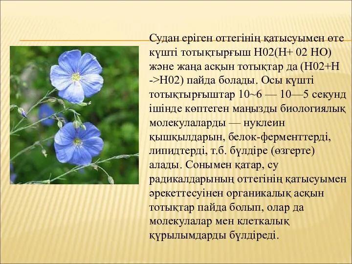 Судан еріген оттегінің қатысуымен өте күшті тотықтырғыш Н02(Н+ 02 НО) және