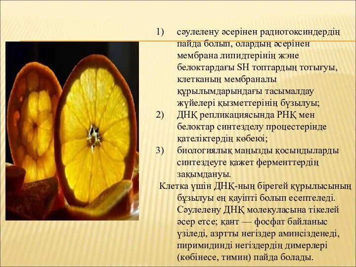 сәулелену әсерінен радиотоксиндердің пайда болып, олардың әсерінен мембрана липидтерінің жэне белоктардағы