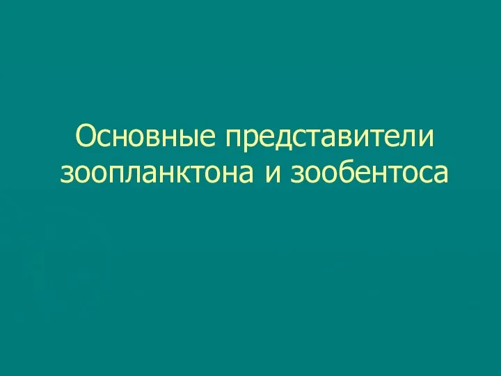 Основные представители зоопланктона и зообентоса