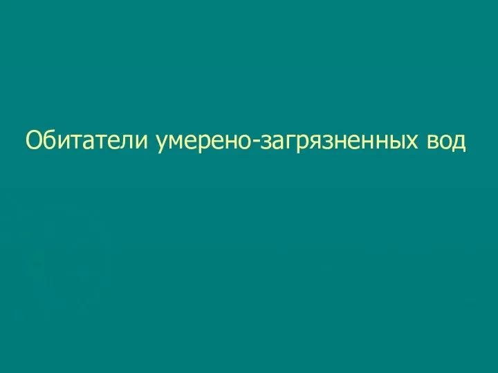 Обитатели умерено-загрязненных вод