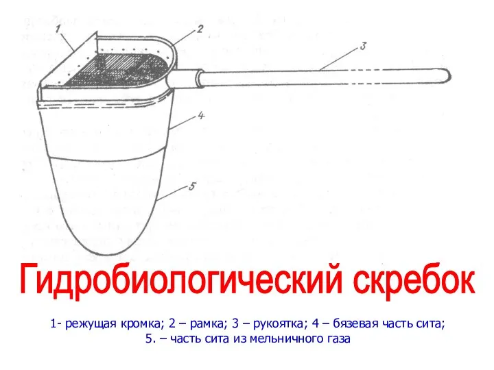 Гидробиологический скребок 1- режущая кромка; 2 – рамка; 3 – рукоятка;