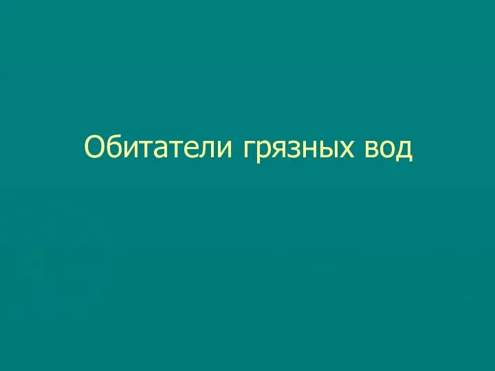 Обитатели грязных вод