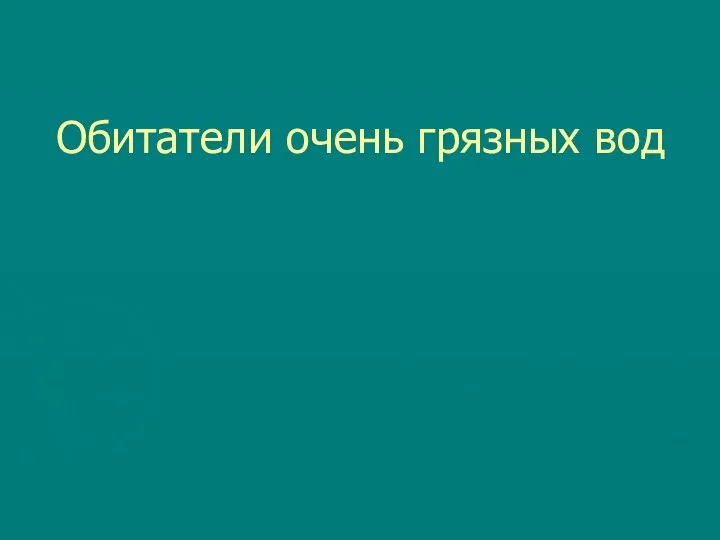 Обитатели очень грязных вод