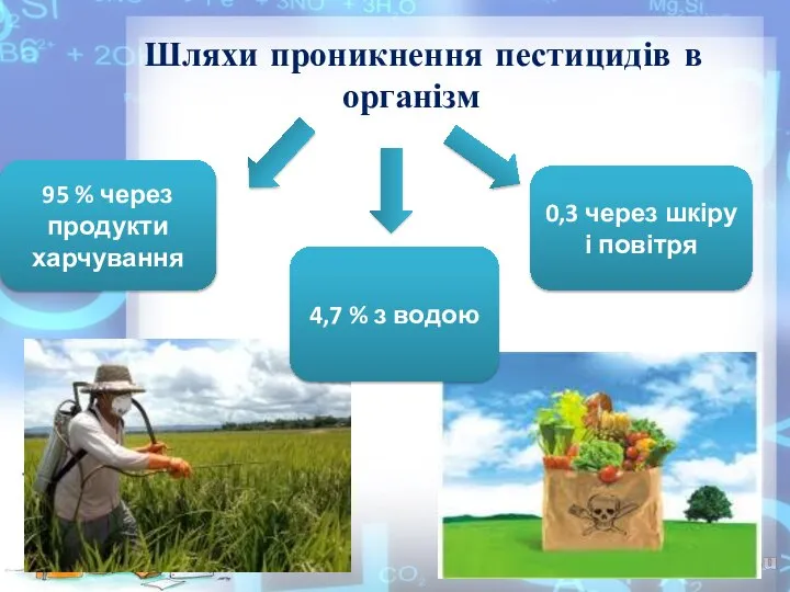 Шляхи проникнення пестицидів в організм 95 % через продукти харчування 4,7