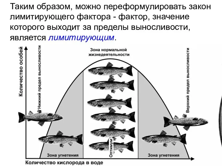 Таким образом, можно переформулировать закон лимитирующего фактора - фактор, значение которого