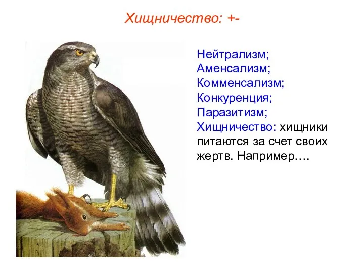 Нейтрализм; Аменсализм; Комменсализм; Конкуренция; Паразитизм; Хищничество: хищники питаются за счет своих жертв. Например…. Хищничество: +-