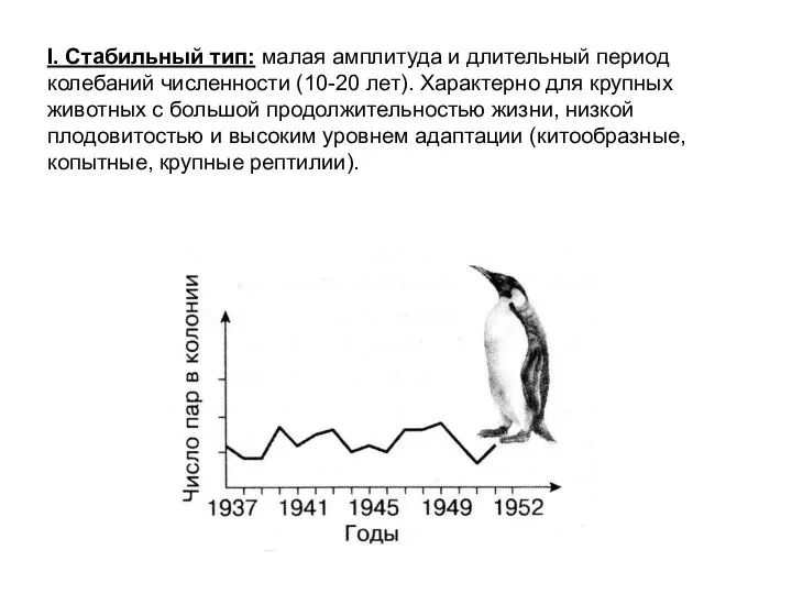 I. Стабильный тип: малая амплитуда и длительный период колебаний численности (10-20