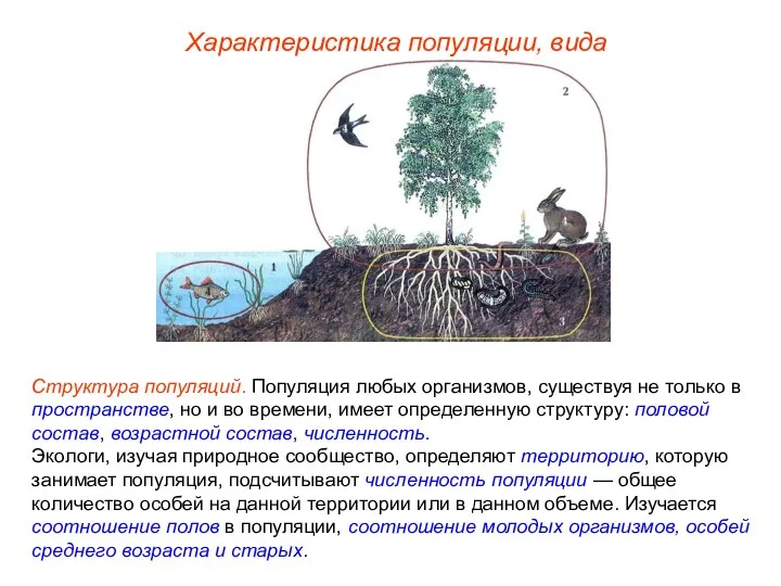 Структура популяций. Популяция любых организмов, существуя не только в пространстве, но