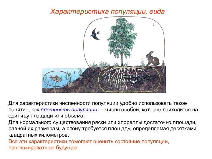 Для характеристики численности популяции удобно использовать такое понятие, как плотность популяции