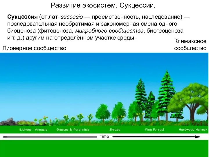 Развитие экосистем. Сукцессии. Сукцессия (от лат. succesio — преемственность, наследование) —