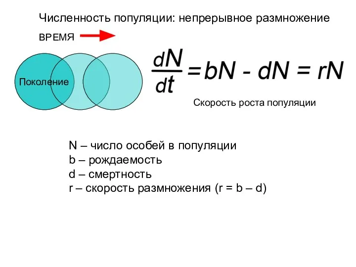 Численность популяции: непрерывное размножение Поколение ВРЕМЯ Скорость роста популяции N –