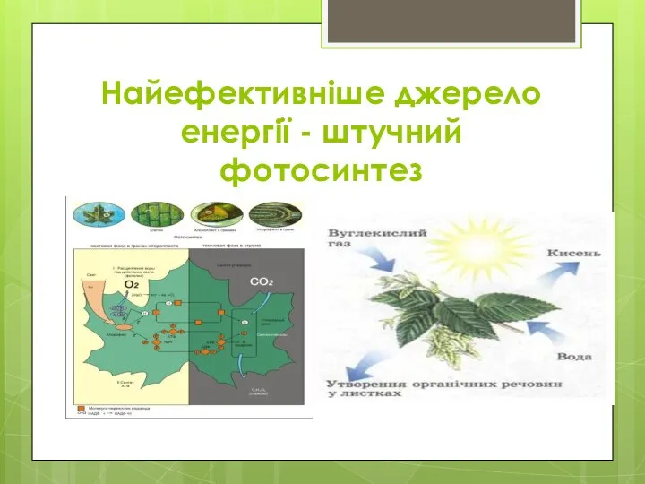 Найефективніше джерело енергії - штучний фотосинтез