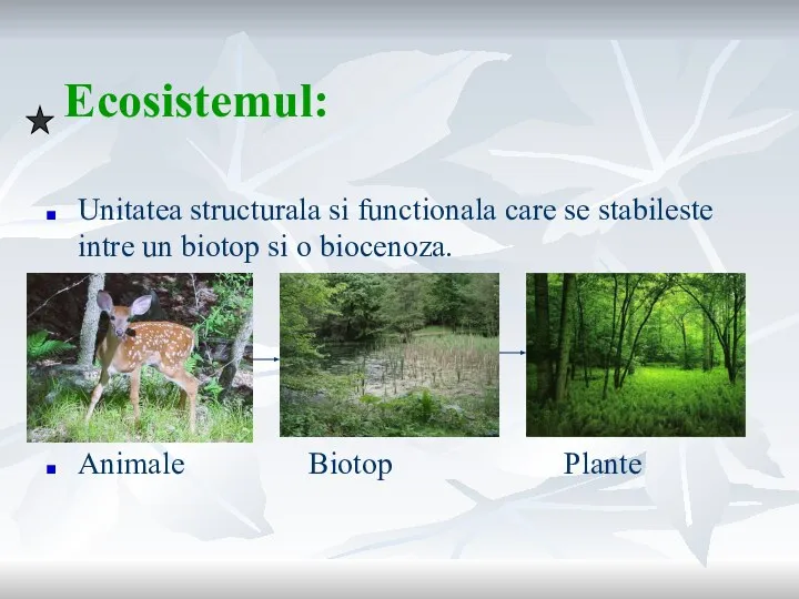 Ecosistemul: Unitatea structurala si functionala care se stabileste intre un biotop