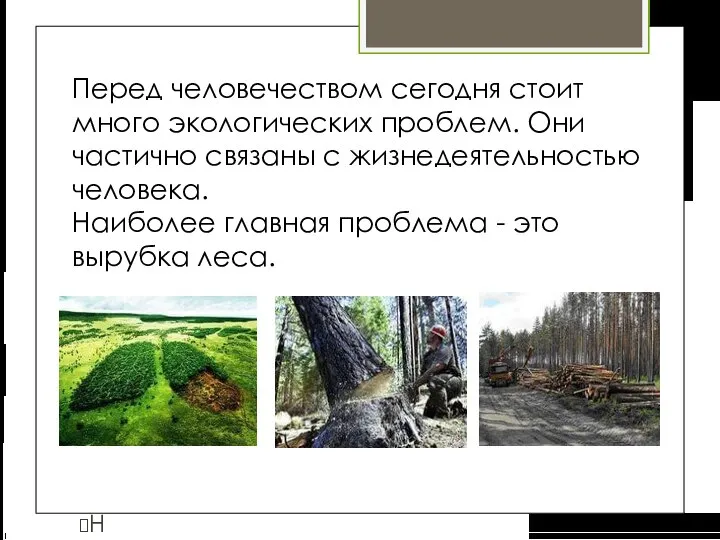 Перед человечеством сегодня стоит много экологических проблем. Они частично связаны с