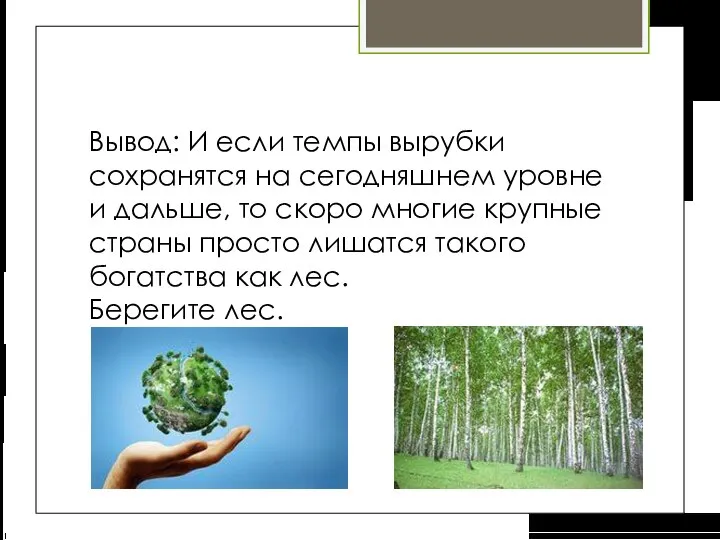 Вывод: И если темпы вырубки сохранятся на сегодняшнем уровне и дальше,