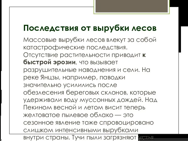 Последствия от вырубки лесов Массовые вырубки лесов влекут за собой катастрофические