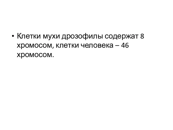 Клетки мухи дрозофилы содержат 8 хромосом, клетки человека – 46 хромосом.