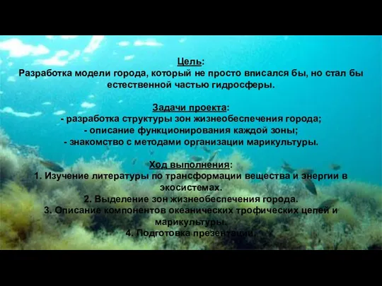 Цель: Разработка модели города, который не просто вписался бы, но стал