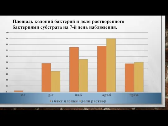 Площадь колоний бактерий и доля растворенного бактериями субстрата на 7-й день наблюдения.