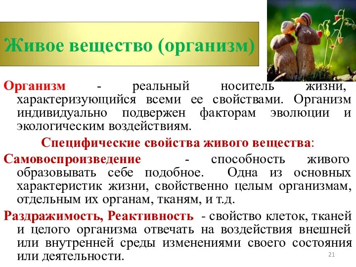 Организм - реальный носитель жизни, характеризующийся всеми ее свойствами. Организм индивидуально