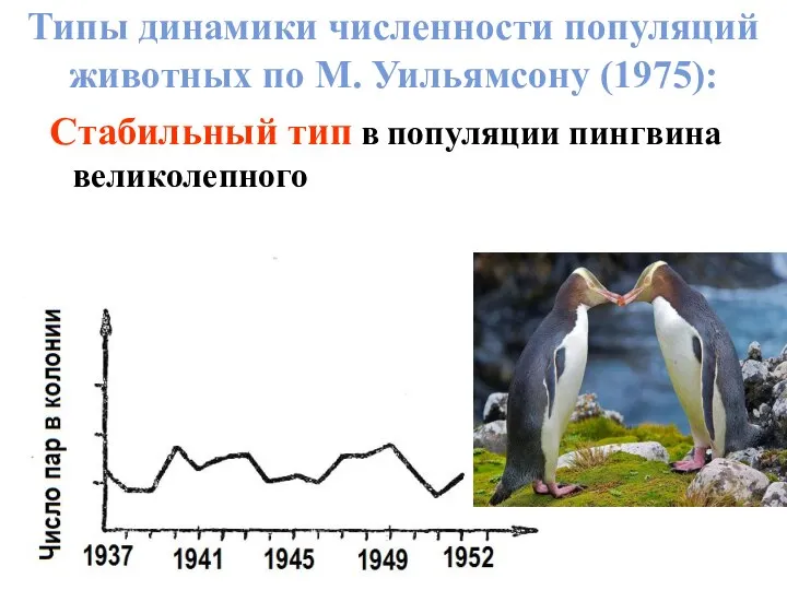 Типы динамики численности популяций животных по М. Уильямсону (1975): Стабильный тип в популяции пингвина великолепного