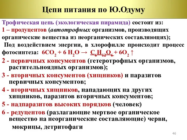 2 - первичных консументов (гетеротрофных организмов, растительноядных организмов); 3 - вторичных