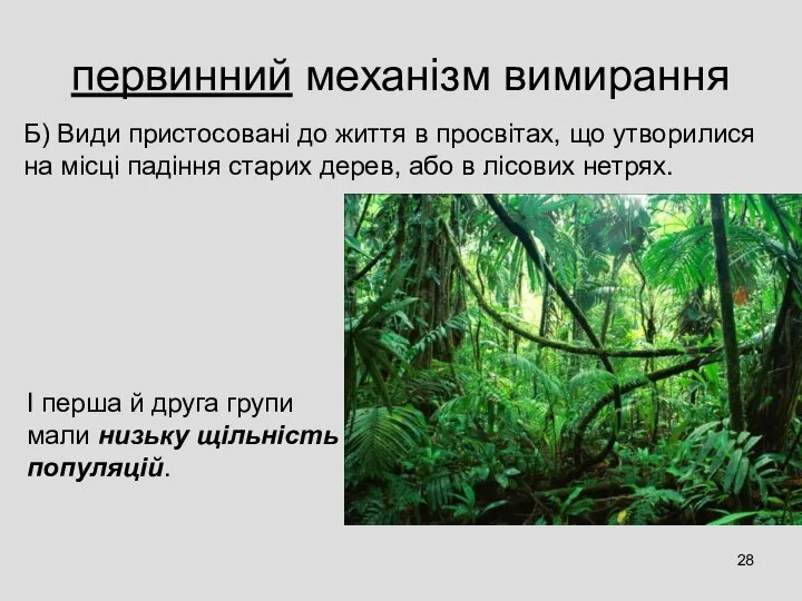 первинний механізм вимирання Б) Види пристосовані до життя в просвітах, що