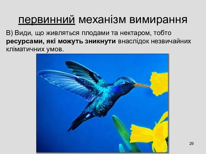 первинний механізм вимирання В) Види, що живляться плодами та нектаром, тобто